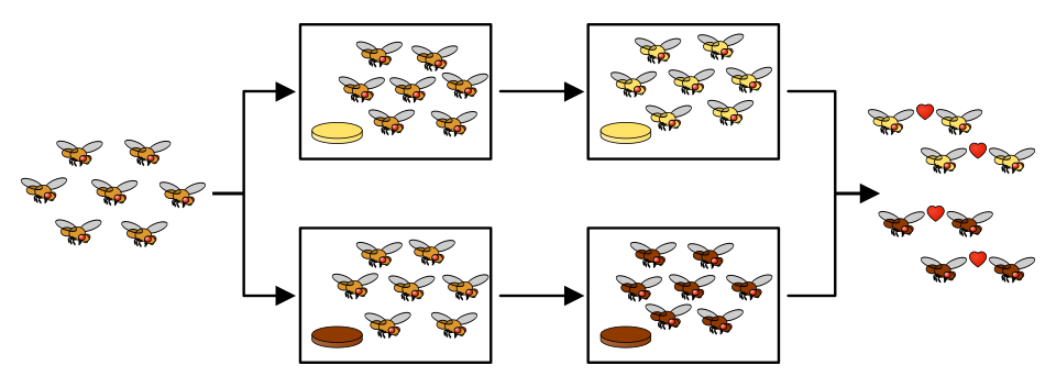 Reproductive isolation can be caused by allopatric speciation. A population of Drosophila was divided into sub populations selected to adapt to different food types. After some generations the two sub populations were mixed again. Subsequent matings occurred between individuals belonging to the same adapted group.[84]