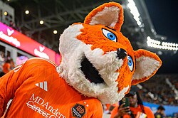 Dynamo Diesel during a match in 2025