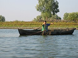 Fisherman in the Danube Delta