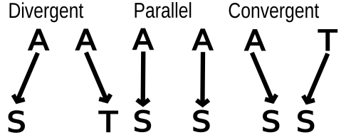 Evolution at an amino acid position. In each case, the left-hand species changes from having alanine (A) at a specific position in a protein in a hypothetical ancestor, and now has serine (S) there. The right-hand species may undergo divergent, parallel, or convergent evolution at this amino acid position relative to the first species.
