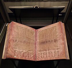 Codex Argentus on display at Uppsala University Library
