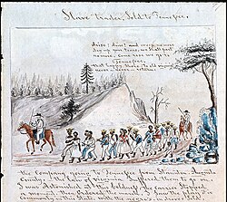 A coffle of slaves being driven on foot from Staunton, Virginia, to Tennessee in 1850