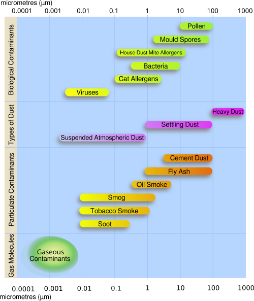 Types, and size distribution in micrometres (μm), of atmospheric particulate matter