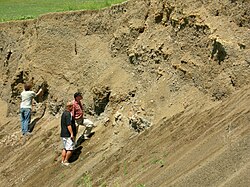 Late Cretaceous cold seep deposit in the Pierre Shale, southwest South Dakota