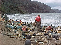 Marine debris on a Hawaiian coast in 2008