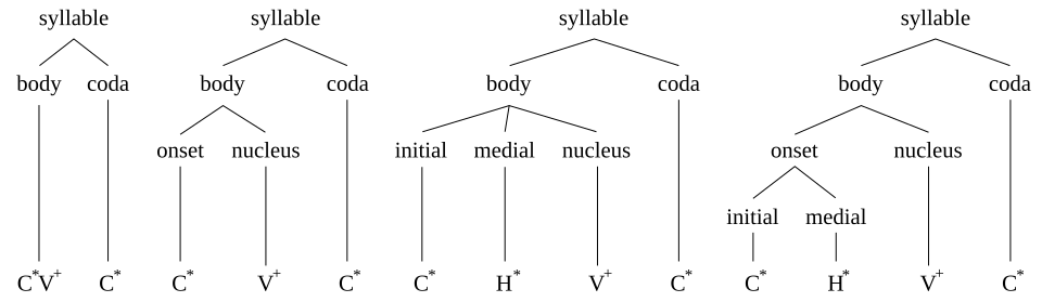 Left-branching hierarchical model