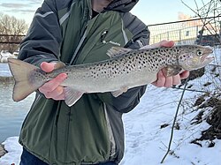 At Lake Ontario