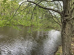 The Millstone River flowing in Millstone Township, where the headwaters for the river are located.