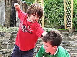 Sibling physical conflict