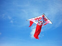 A kite in flight