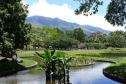 Ávila national park, seen from Parque del Este
