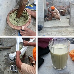 Process of making bhang in a village in Punjab, India. On the Indian festival of colors, Holi, it is a customary addition to some intoxicating drinks.[242]