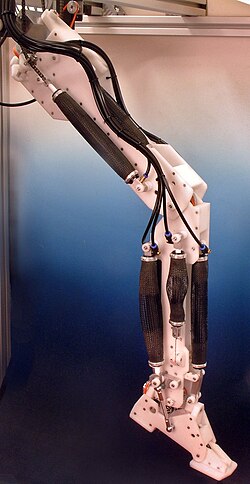 A robotic leg powered by air muscles