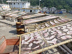 Fish being dried dockside in Pacao Harbor, Cangnan County