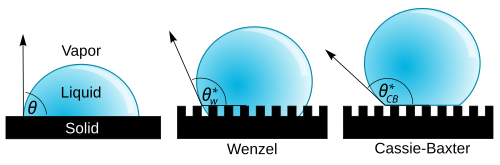 A droplet resting on a solid surface and surrounded by a gas forms a characteristic contact angle θ. If the solid surface is rough, and the liquid is in intimate contact with the solid asperities, the droplet is in the Wenzel state. If the liquid rests on the tops of the asperities, it is in the Cassie–Baxter state.