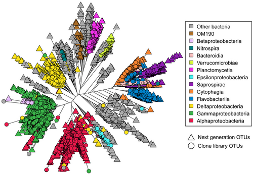 Phylogenetic tree representing bacterial operational taxonomic units (OTUs) from clone libraries and next-generation sequencing. OTUs from next-generation sequencing are displayed if the OTU contained more than two sequences in the unrarefied OTU table (3626 OTUs).[66]