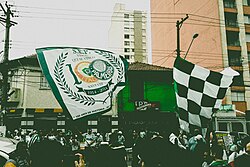 Palmeiras's supporters