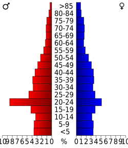 Population age distribution for Norfolk