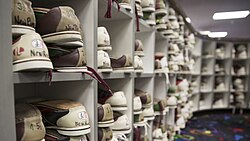 Bowling shoes are a type of athletic shoe