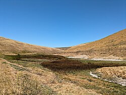 Brushy Peak Regional Preserve