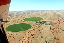Alfalfa fields in the Kalahari Desert (2017)24°20′21.5″S 018°35′36.4″E / 24.339306°S 18.593444°E