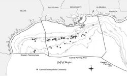 Chemosynthetic communities in the northern part of Gulf of Mexico around cold seeps known in 2006 include more than 50 communities