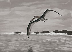 Pterosaurs included the largest known flying animals