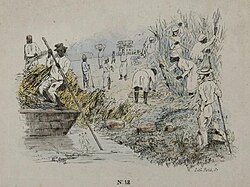 A 19th-century lithograph by Theodore Bray showing a sugarcane plantation: On the right is the "white officer", the European overseer. Slave workers toil during the harvest. To the left is a flat-bottomed vessel for cane transportation.