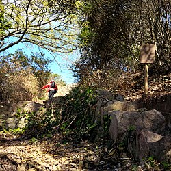South West Coast Path in Torquay