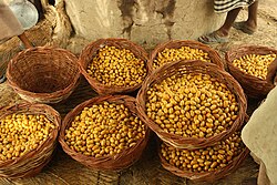 Pakistan is the 6th largest producer of dates in the world[433]