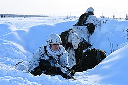 Canadian Army soldiers equipped with C7A2 rifles set up a defensive perimeter, 2022