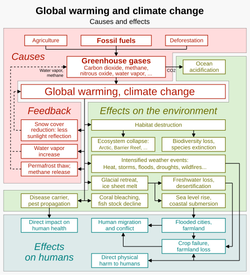 The primary causes[166] and the wide-ranging effects[167][168][169] of global warming and resulting climate change. Some effects constitute feedbacks that intensify climate change.[170]