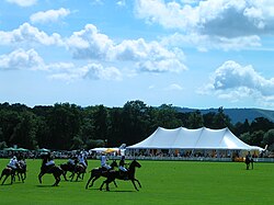 Polo played at Cowdray Park near Midhurst