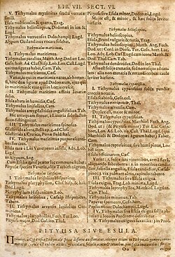 Caspar Bauhin (1623), Pinax Theatri Botanici, page 291. On this page, a number of Tithymalus species (now Euphorbia) is listed, described and provided with synonyms and references. Bauhin already used binomial names but did not consistently give all species throughout the work binomials.