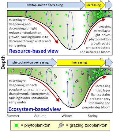 Competing hypothesis of plankton variability[58]Figure adapted from Behrenfeld & Boss 2014.[61]Courtesy of NAAMES, Langley Research Center, NASA[62]