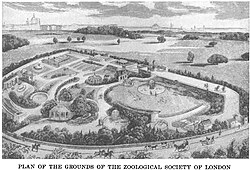 Plan of the Zoological Society of London (1829)