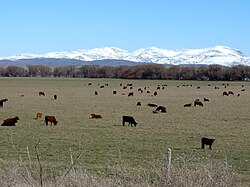 View of the surroundings of Coronel Suárez, Argentina.