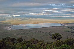 Lake Magadi (Ngorongoro)