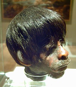 Shrunken head of a mestizo man by the Jívaro indigenous people. In 1599, the Jívaro destroyed Spanish settlements in eastern Ecuador and killed all the men.
