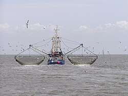 Commercial crab boat working in the North Sea