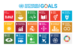 United Nations Sustainable Development Goals