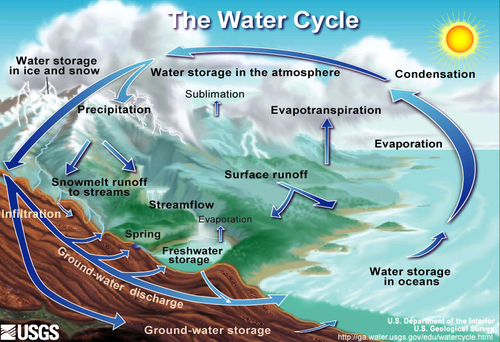 Condensation and coalescence are important parts of the water cycle.