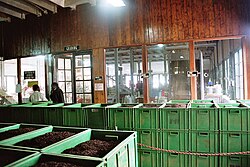 Inside a tea processing factory