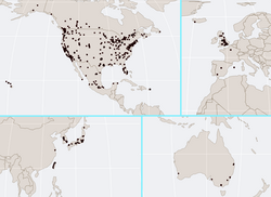 Map of Costco warehouses around the world (January 2021)