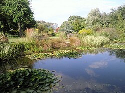 The Pines Garden
