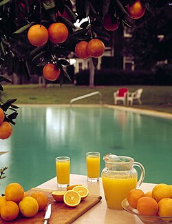 Orange juice, the state beverage