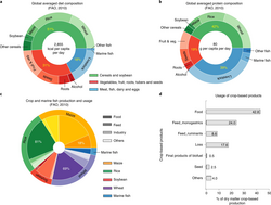 Global average human diet and protein composition and usage of crop-based products[11] (more statistics)