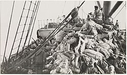 Indian soldiers on their way to ANZAC cove from Lemnos, Gallipoli, October 1915