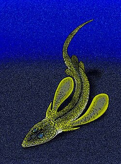Pseudopetalicthys problematica