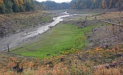 A muddy depression with lots of stumps and a small stream turd.jpg